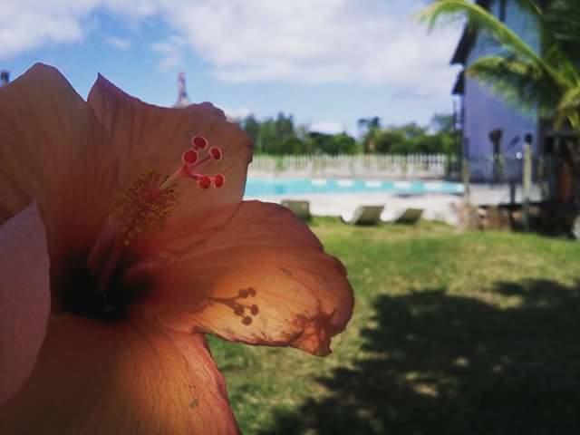Asso Villa ベル・マール エクステリア 写真